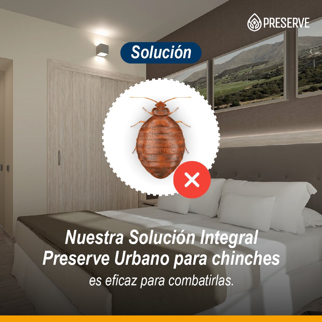 Grupo Preserve tweet media