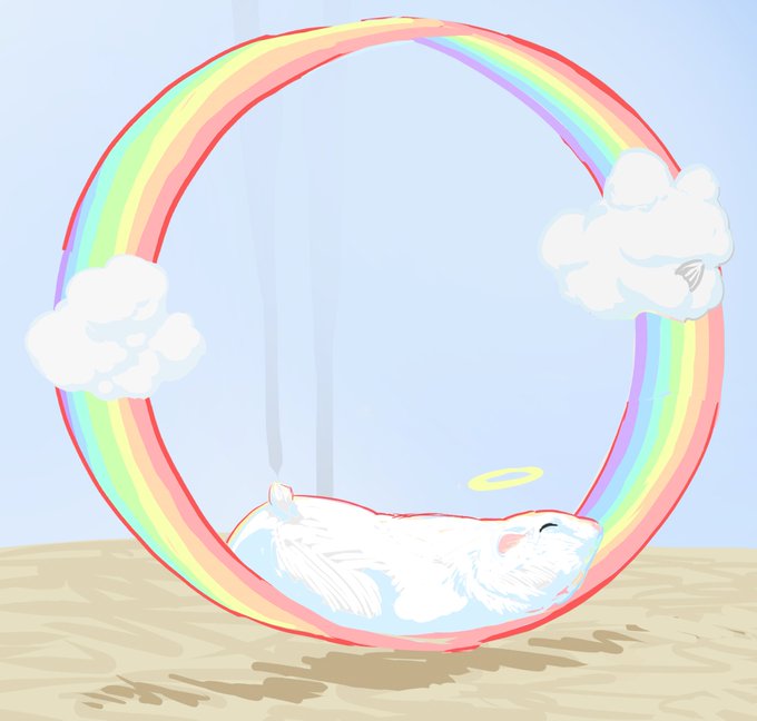 「cloud rainbow」 illustration images(Latest)