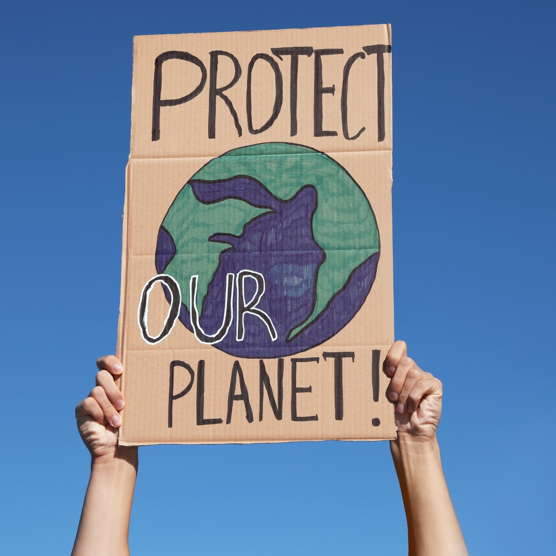 Not sure which activities to join today? NEW EVENT: join the lunchtime discussion on SDG 8 (1pm, Roundhouse) VOLUNTEERING: support Wildlife Aid (12pm, meet in front room) DEBATE: do 'extreme' activist groups harm the environmental movement (6:30pm, LTE) linktr.ee/uossustainabil…