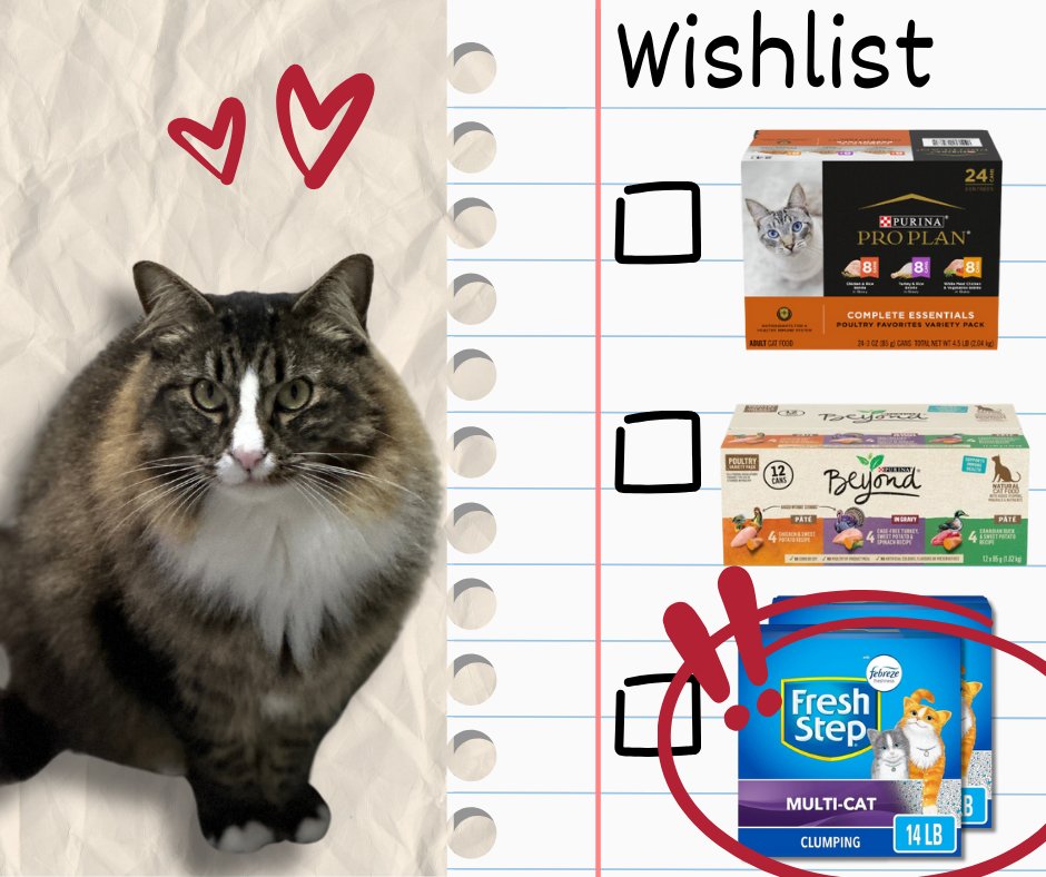 It's Wishlist Wednesday! Please consider helping the blind, FIV & leukemia-positive cats here at Blind Cat Rescue by purchasing something from one of our wishlists! Amazon: amzn.to/416Ecpm Chewy: bit.ly/3Ewp9MP Target: bit.ly/3p4Z4jm Thank you so much!