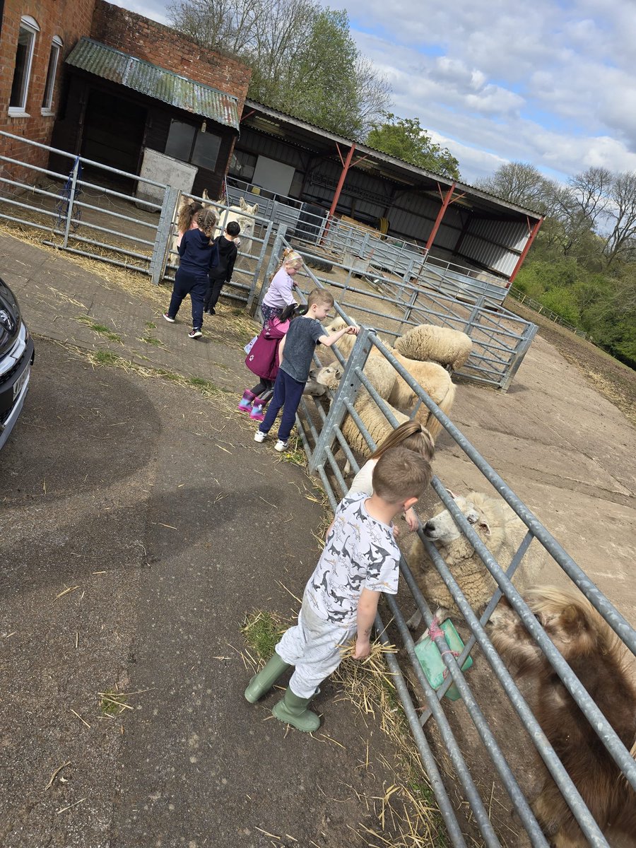 Fordbridge Primary tweet media