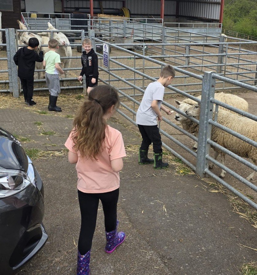 Fordbridge Primary tweet media