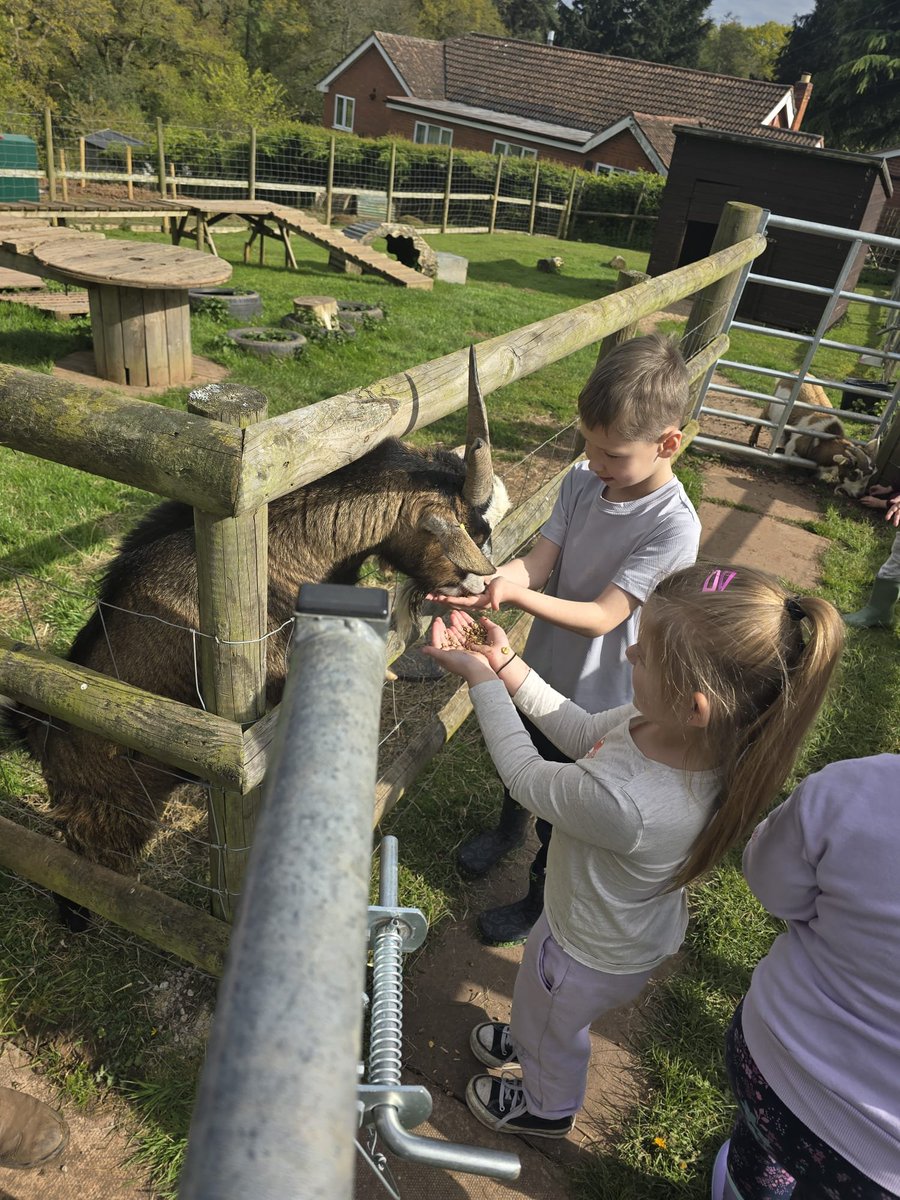 Fordbridge Primary tweet media