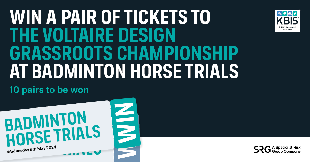 KBIS Insurance tweet media