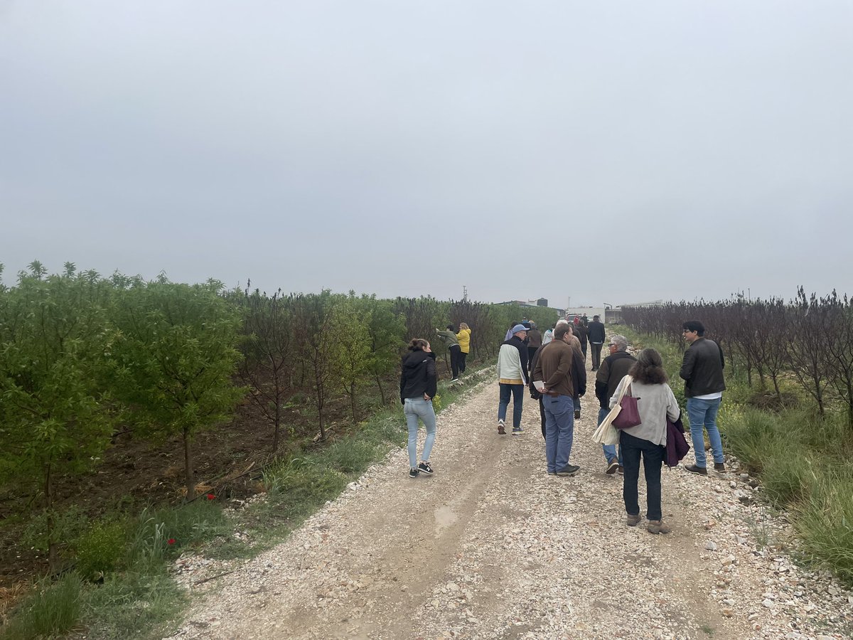 turtiainenmatti's tweet photo. Matkalla kotiin lehdistömatkalta Kreikkaan, kiitos @EUAgri. Monta menestyvää maatilayritystä nähty, mutta myös isoja haasteita, joita edessä viime syyskuun tulva-alueen viljelijöillä. 
#avdanasdairyfarm #beezeusapiculture #ligouras #karpologio #karanikas https://t.co/KY29fEjnvL