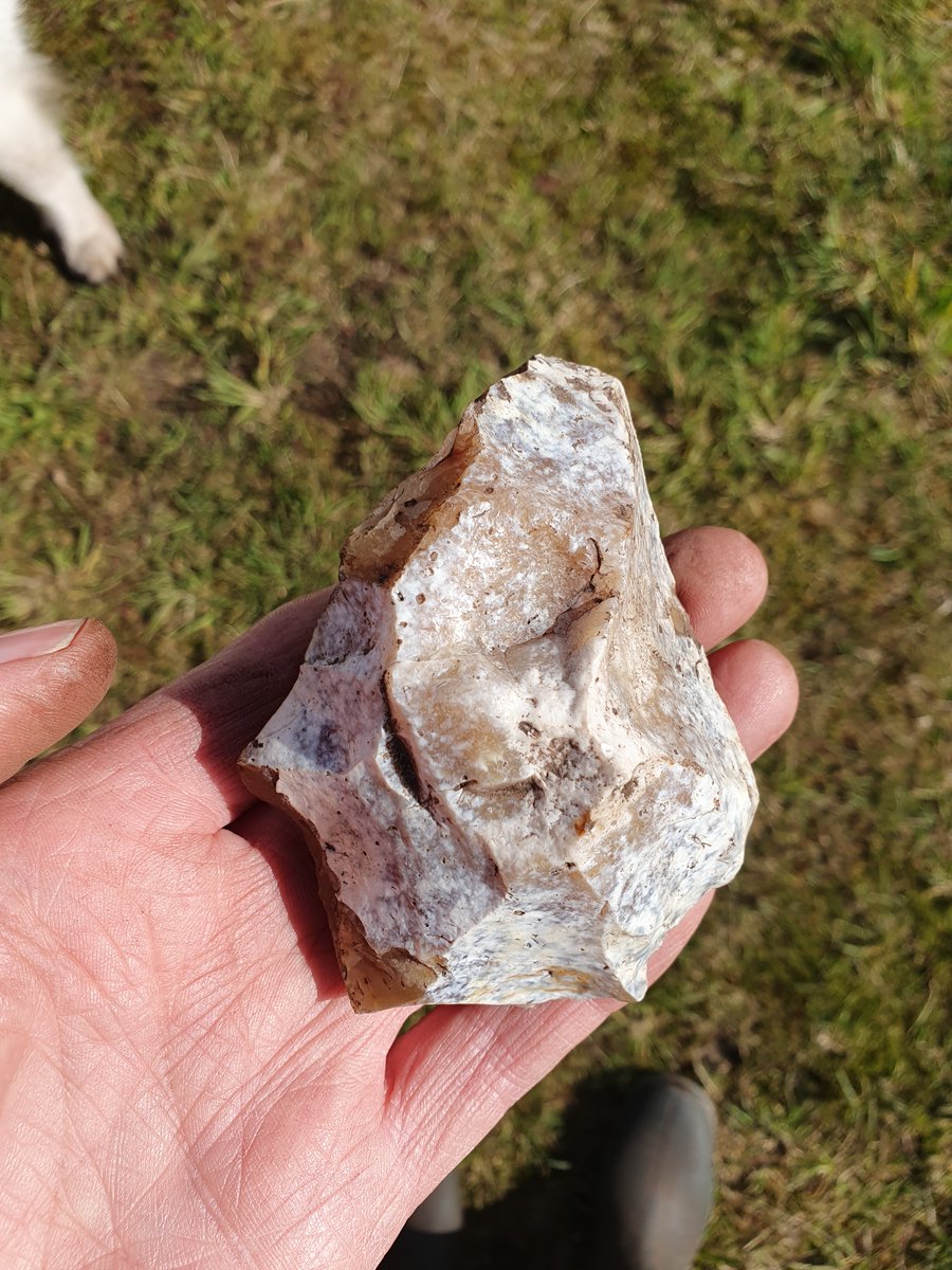 marcel_niekus's tweet photo. Last sunday we did our last survey this season in search of middle #palaeolithic artefacts at #Peest in #Drenthe. It was a succes! We found 8 #neanderthal flints in 2 distinct find scatters: 4 flakes, 3 cores and a possible handaxe roughtout. To be continued in the fall😀 https://t.co/nXUlj3NNhH