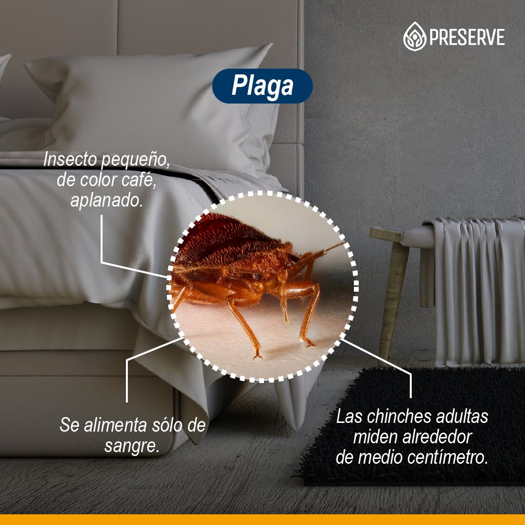 Grupo Preserve tweet media