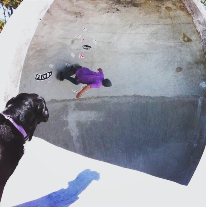 #Laceygirl spectating the cradle in #mammothlakes #skatepark 🛹 #throwback https://t.co/HYuzkuykbI<a href="/tag/laceygirl"class="tags">#Laceygirl</a><a href="/tag/mammothlakes"class="tags">#mammothlakes</a><a href="/tag/throwback"class="tags"><span>#throwback</span></a><a href="/tag/skatepark"class="tags"><span>#skatepark</span></a>