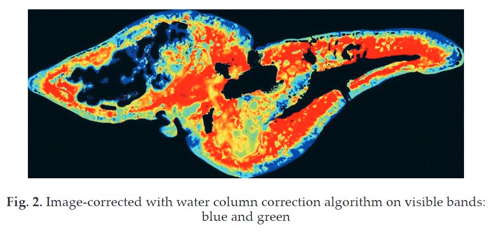 GaEE_AGH's tweet photo. Assessing the Shallow Water Habitat Mapping Extracted from High-Resolution Satellite Image with Multi Classification Algorithms

Muhammad Rizki Nandika, Azura Ulfa, Andi Ibrahim, Anang Dwi Purwanto
https://t.co/qq1nxYEpzb https://t.co/rzLtBdHhCk