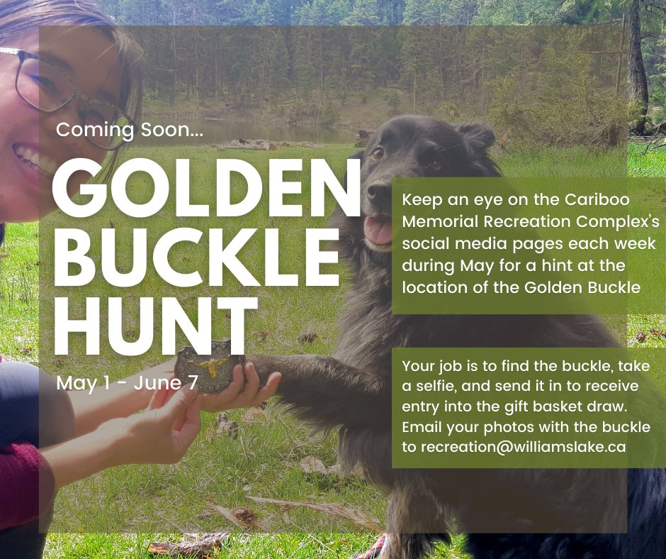CMRCWL's tweet photo. Get ready for an adventure like no other! Join us for the Golden Buckle Hunt throughout May! Starting May 1, explore the hidden gems of the Williams Lake area as you follow the clues to find the elusive Buckle. Don't miss out on the fun - let the hunt begin! https://t.co/MW4yZx6UkX