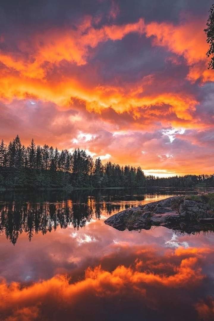 Assalam o Alaikum 💝
----------
 How are X Family 💝
----------
💥Have a nice Wednesday 💝
"""""""
❤️ Stay Blessed 😇
;;;;;;;
🌸 Stay happy ❤️