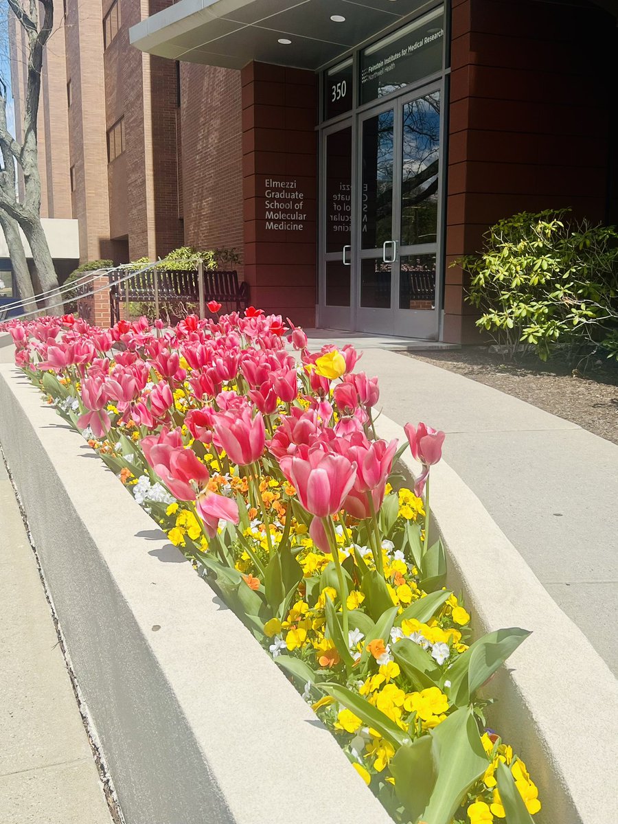 Colleen Nofi, DO PhD MBA MSc tweet media