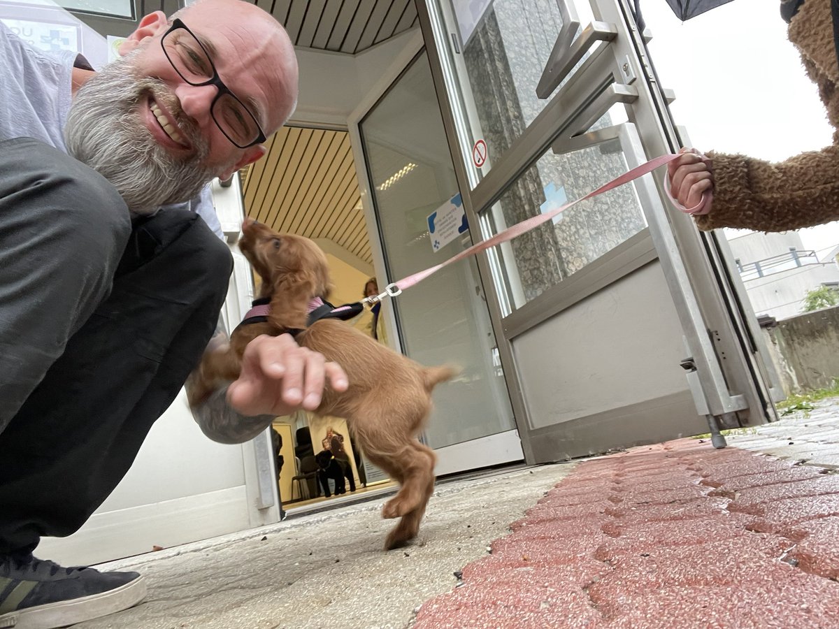 So werden Trainer bei Welpenkursen begrüsst. 🤣 Ps: Kurz davor hat sie noch in die Kamera geschaut 😅