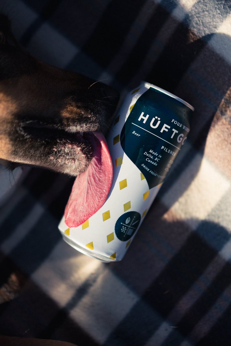 What do dogs do on their day off? They effortlessly master the art of leisure, bask in serenity, and lap up every drop of cool can sweat, of course #Fourwindsbrewing #DogDays #Hüftgold