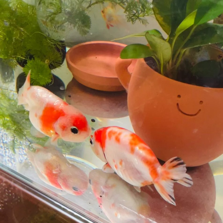 No matter how unhappy you are now, you have to believe that tomorrow will be better than today.