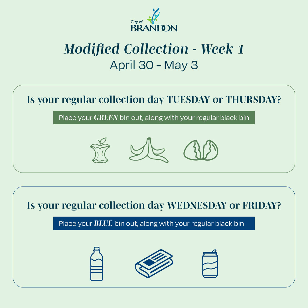 Reminder: modified collection for blue and green bins begins this week. 🟢 If your regular collection day falls on a Tuesday or Thursday, place your green bin out this week. 🔵 If your regular collection day falls on a Wednesday or Friday, place your blue bin out this week.