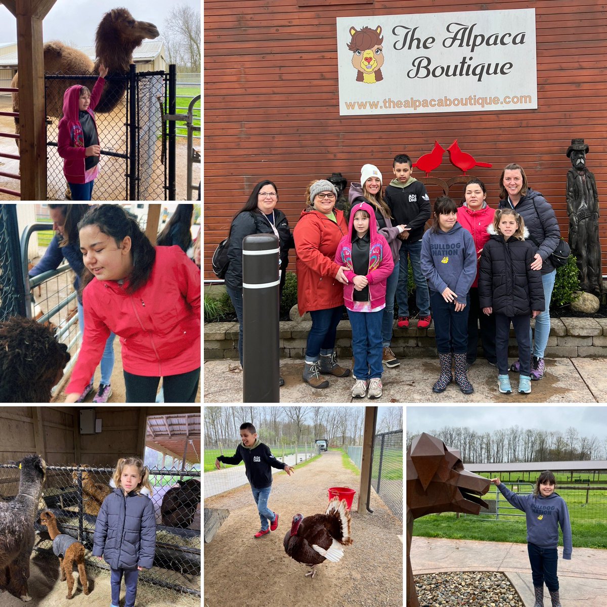 Mrs. Z’s Monarch Room Adventures tweet media