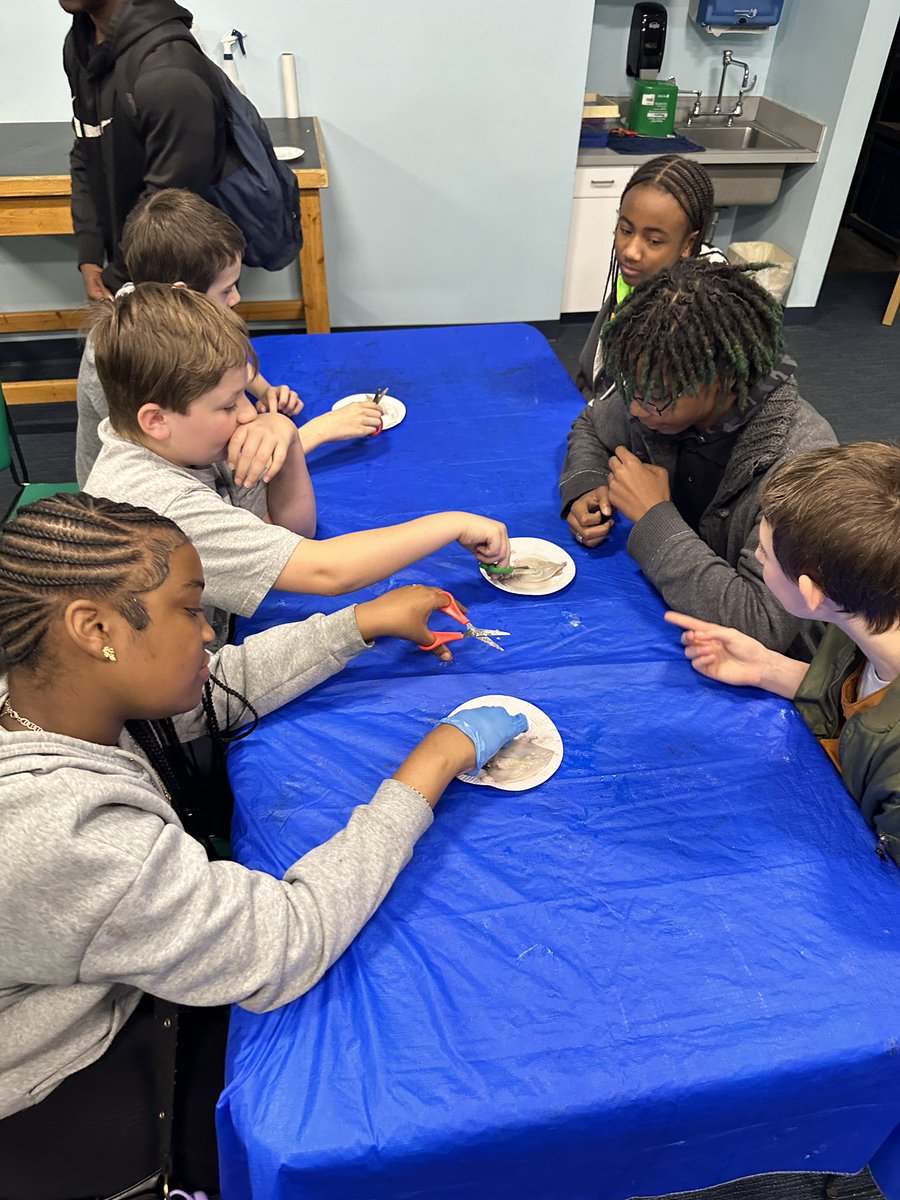 Our SPARTANS had a blast at the VA Beach Aquarium today! It was truly a HANDS ON experience they won’t forget!!#dissecting🦑😅 
<a href="/BenSymsMS/">Benjamin Syms MS</a> @BenSymFES <a href="/HamptonCSchools/">Hampton City Schools</a>