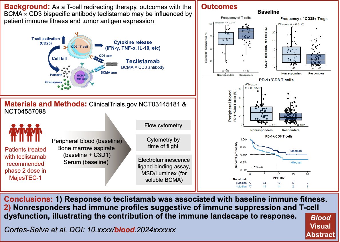 #Myeloma Paper of the Day: Study of immune fitness & teclistamab finds responders had higher baseline total T-cell counts, lower Tregs, fewer T-cells expressing co-inhibitory receptors, less soluble BCMA, and T-cell profile with more cytolytic potential: pubmed.ncbi.nlm.nih.gov/38657201/.