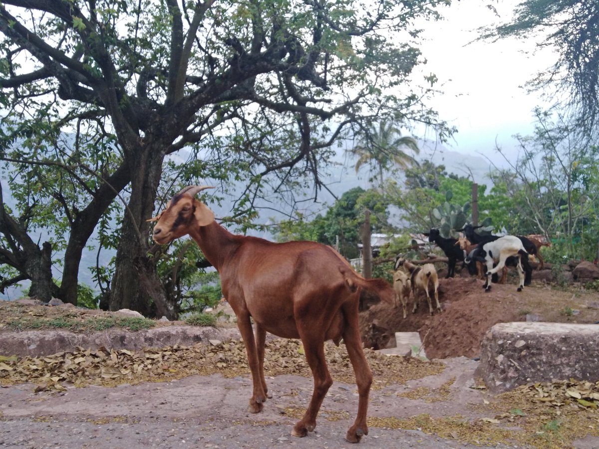 Conocemos nuestra región y estamos dispuestos a enseñártela
•
•
#expedicionverde #unwto #traveling #roadtrip #instatravel #vacationspots #Santander #trip #voyagesenColombié #viajaporColombia #Bienvenue #viajespersonalizados #Transportevip #holidays #Destinations #privatetravel