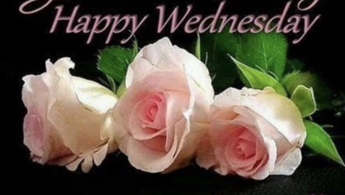 Have A Wonderful Wednesday!