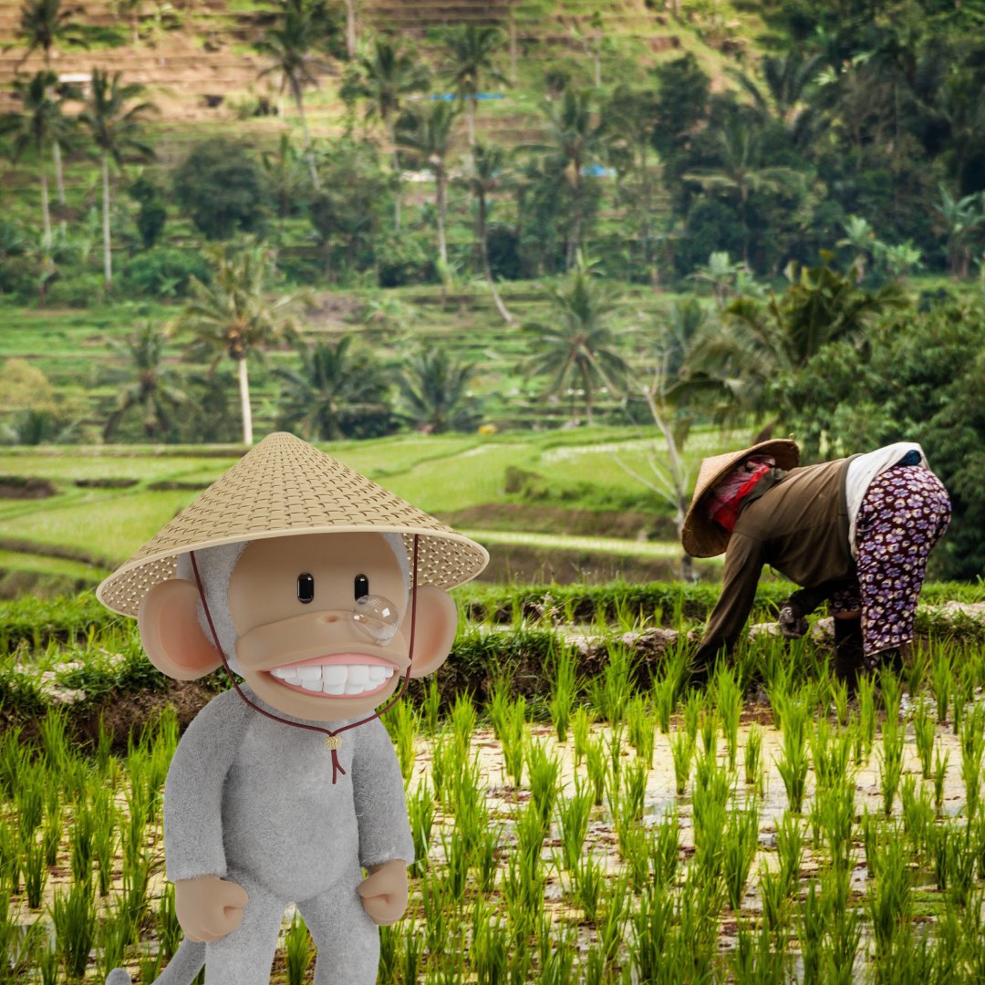 PapaChoi || ❌❌ tweet media