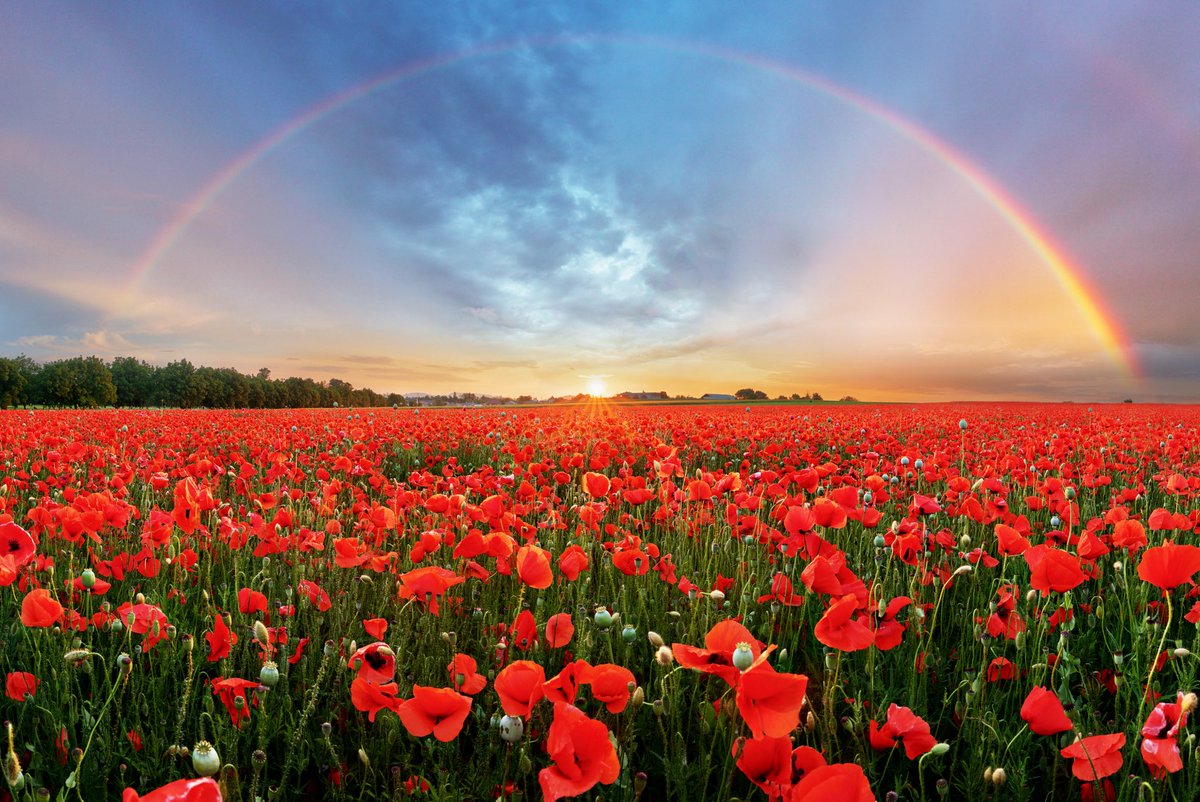 “They shall grow not old, as we that are left grow old;
Age shall not weary them, nor the years condemn.
At the going down of the sun and in the morning
We will remember them.”

#ANZACDay #Grateful #AlwaysRemember 

📸 ⁦@Dreamstime⁩