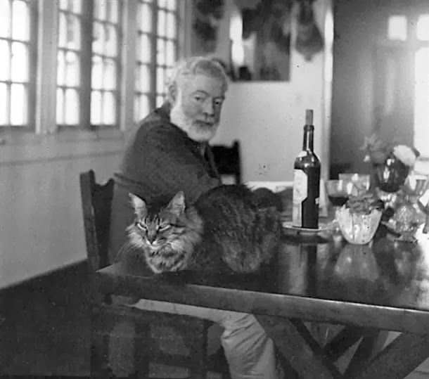 'An intelligent man is sometimes forced to be drunk to spend time with his fools.”
#ernesthemingway