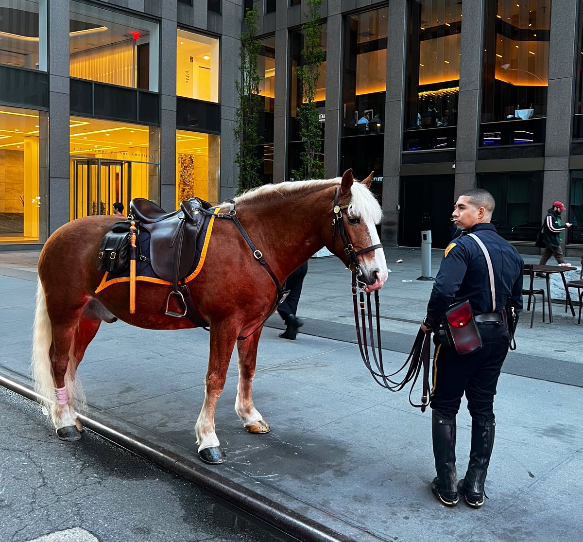 NYPD PROUD #NYPD