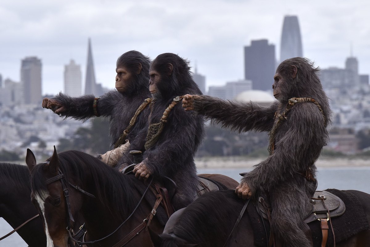 PamphletsZ's tweet photo. Gorillas will liberate San Francisco. https://t.co/2D89UB6mLq