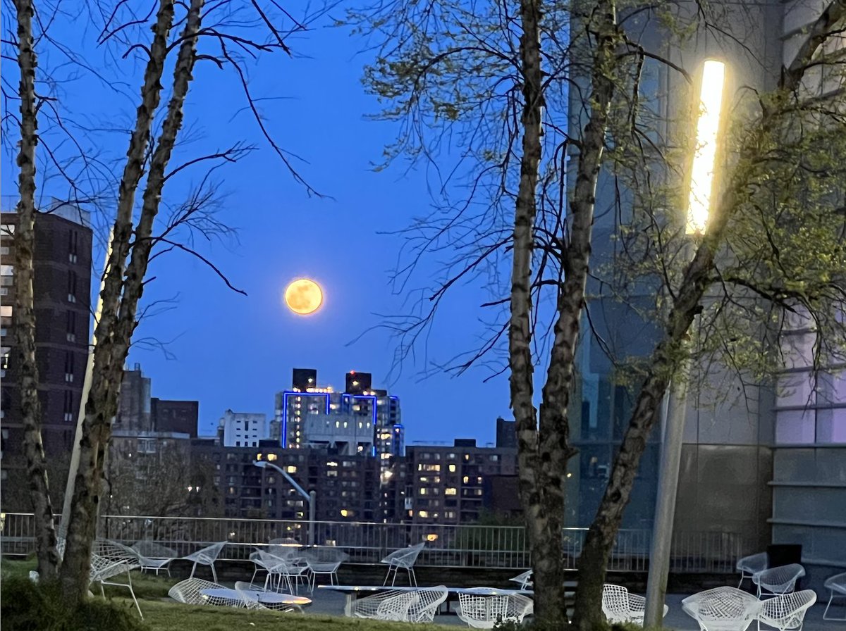 Meriles Lab tweet media