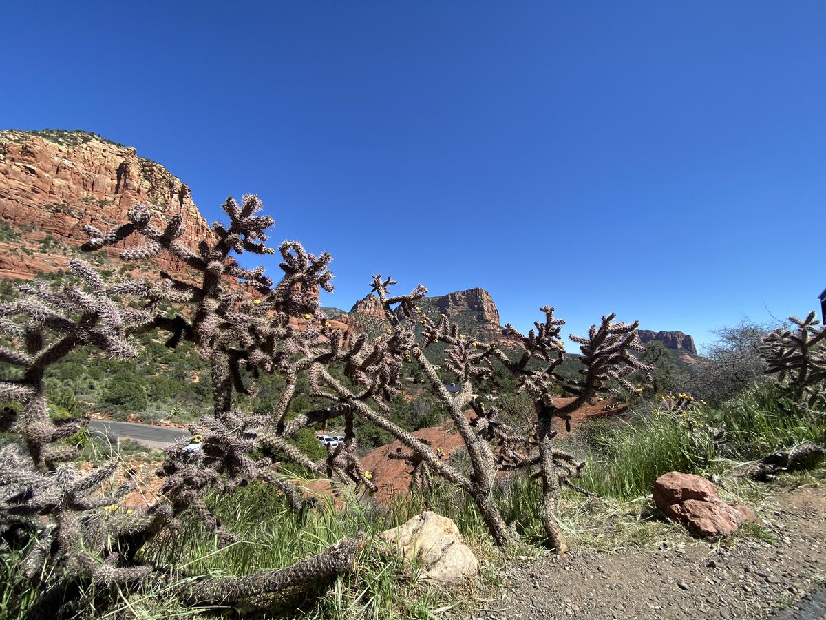 RobGoreMedia tweet media