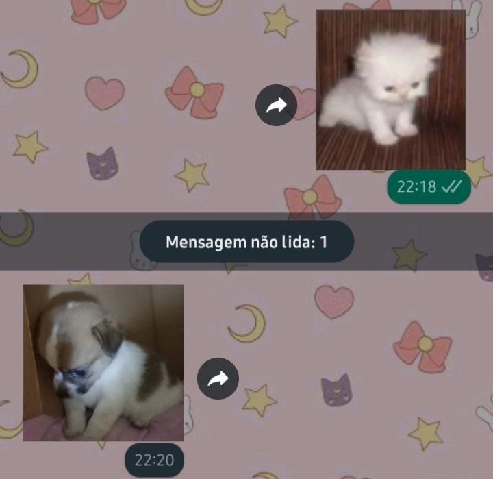 Memes para marcar ele(a) (@memeparaoarroba) on Twitter photo 