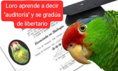 Enso Brada tweet media