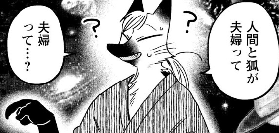宇宙狐 