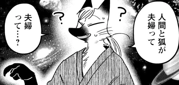 宇宙狐 