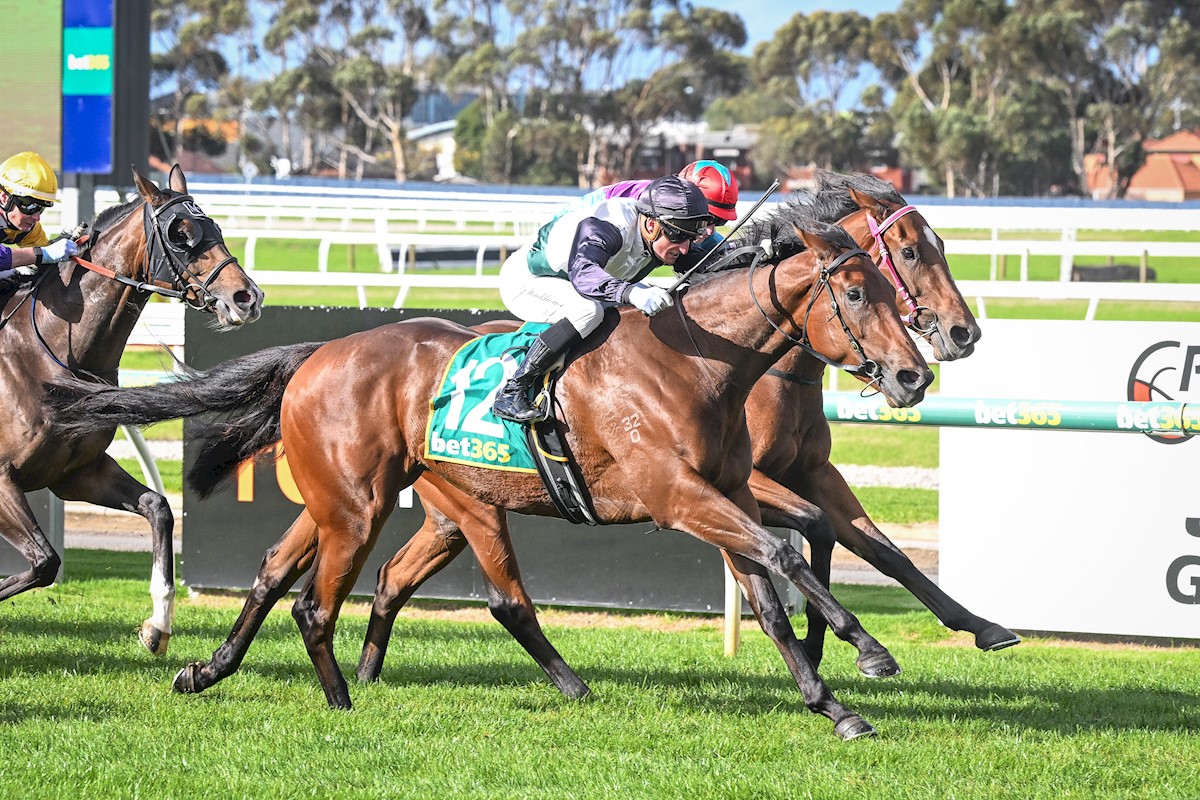 Super Dawn gets her maiden win at Geelong!
Thanks to Dan Stackhouse for a perfect ride on this gal. And congratulations to our owners in this lovely filly🥇
This is the stables 15th winner for April - all credit to our team for having our horses flying 🦅 👏👏👏