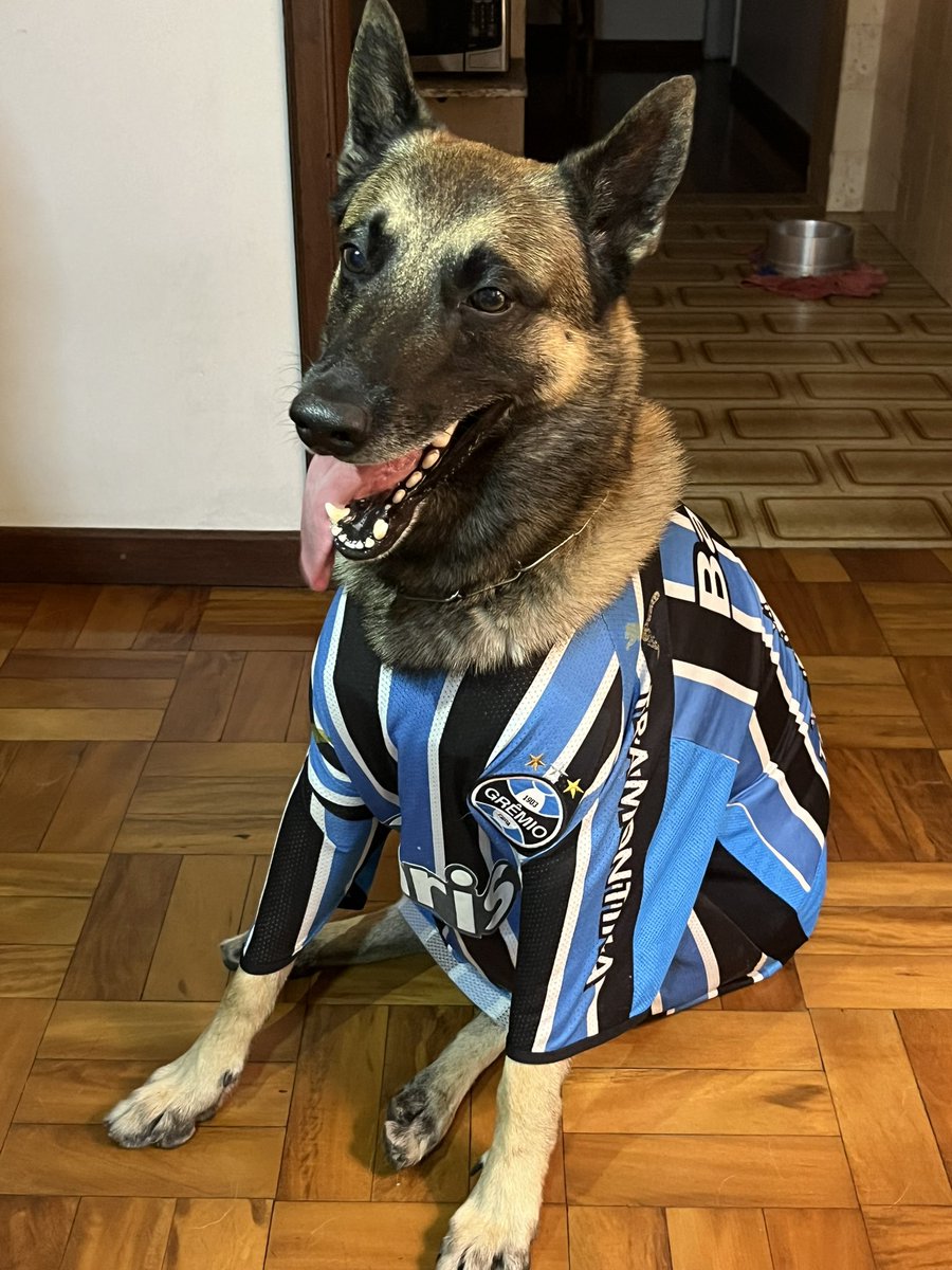 Bruna Batista tweet media