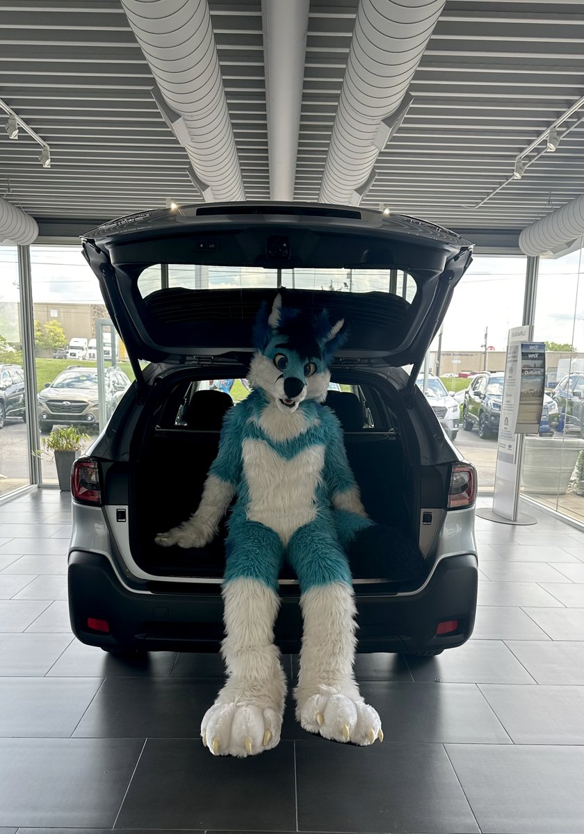 Cargo fox. #Outback #SubieLove
🦊 by @MadeFurYou
