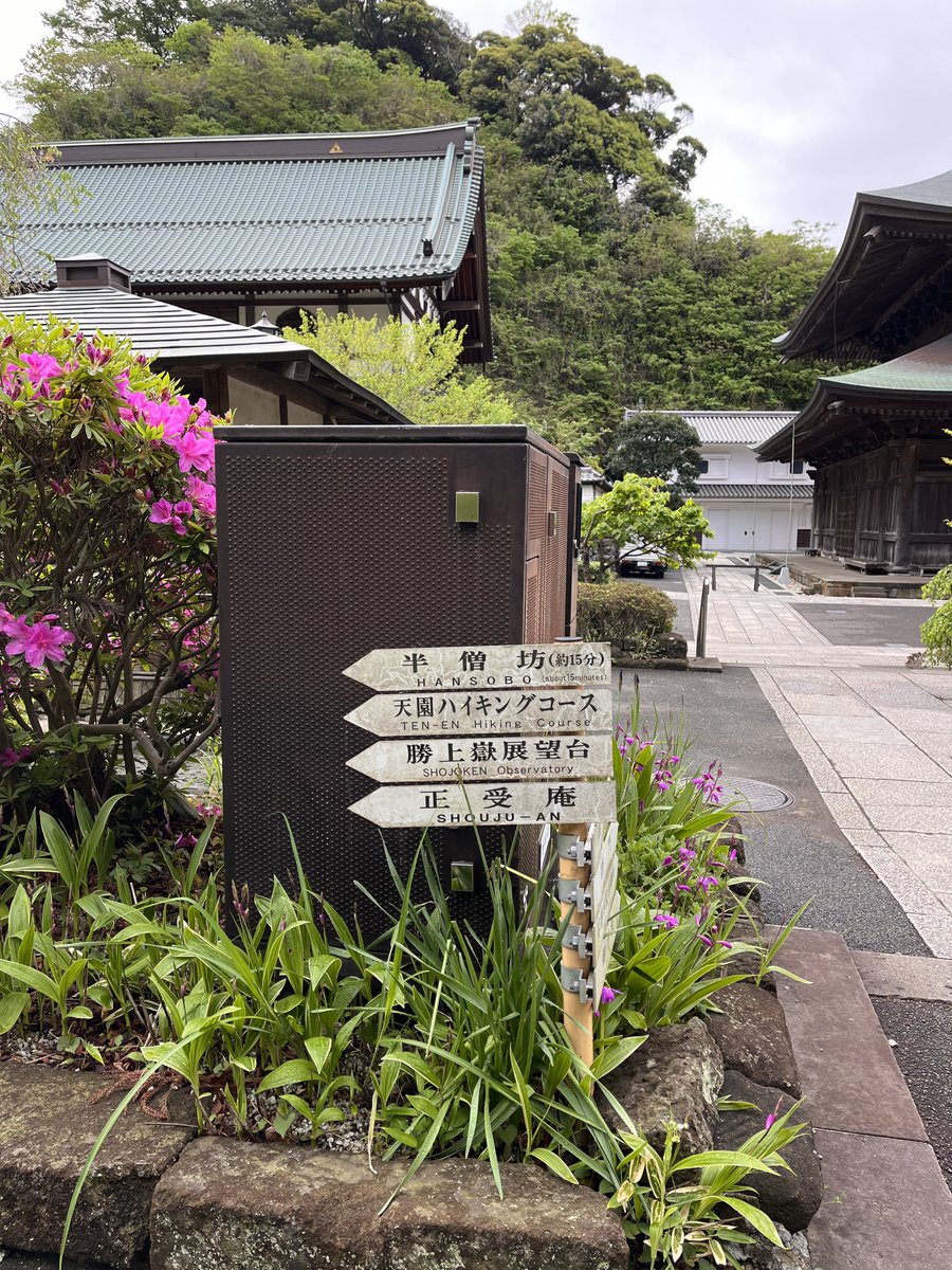 おはよーございます♪
今日は、鎌倉ハイキングです