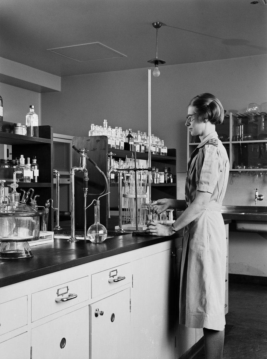 WEHI (Walter and Eliza Hall Institute) tweet media