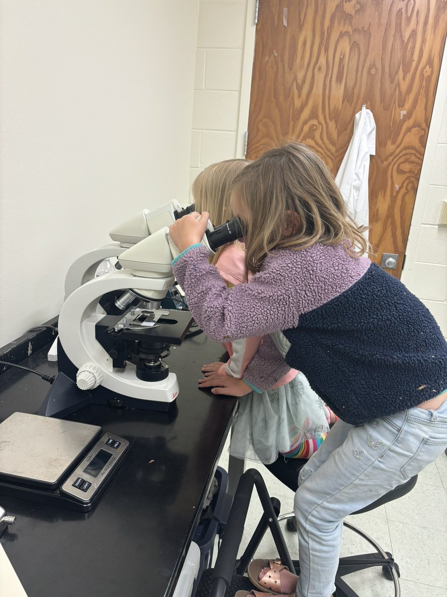 ZaarlyLiz's tweet photo. These are the future #FaceofScience @okstateGRISE @NIH https://t.co/Ib6hBo84ev