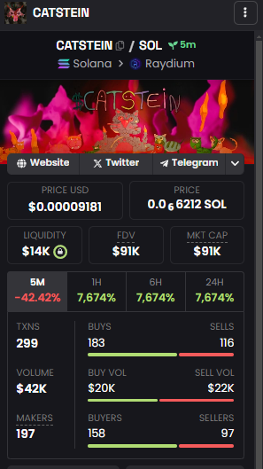 CatsteinSOL's tweet photo. dex updated + lp burned #CATSTEIN https://t.co/k6xjzR3Srf