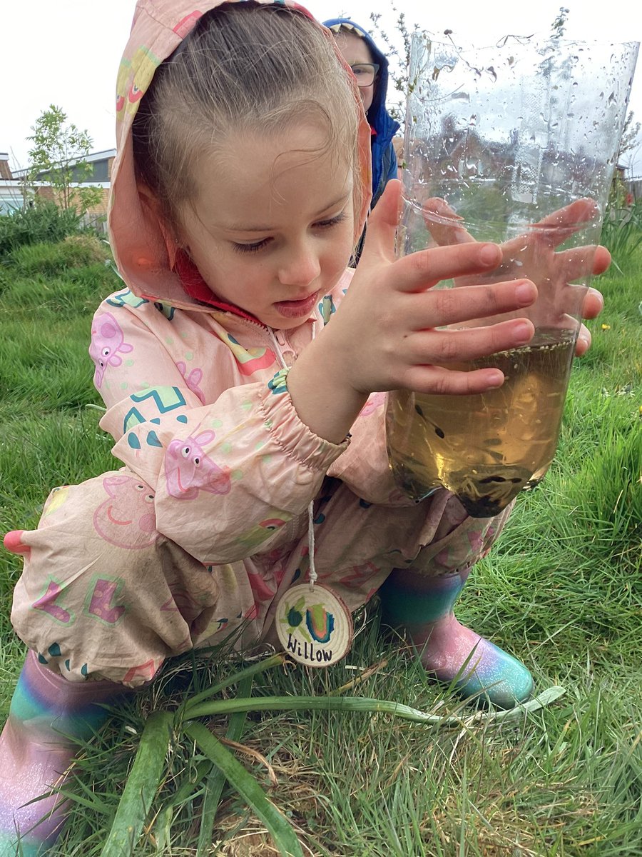 Pond dipping and observing tadpoles in Forest School this morning. We ended our first session by listening to the story Growing Frogs by Vivian French. 🐸 1SW cant wait to come back and see how much they have changed! #harrowgateacademy #harrowgateforestschool #harrowgatepd