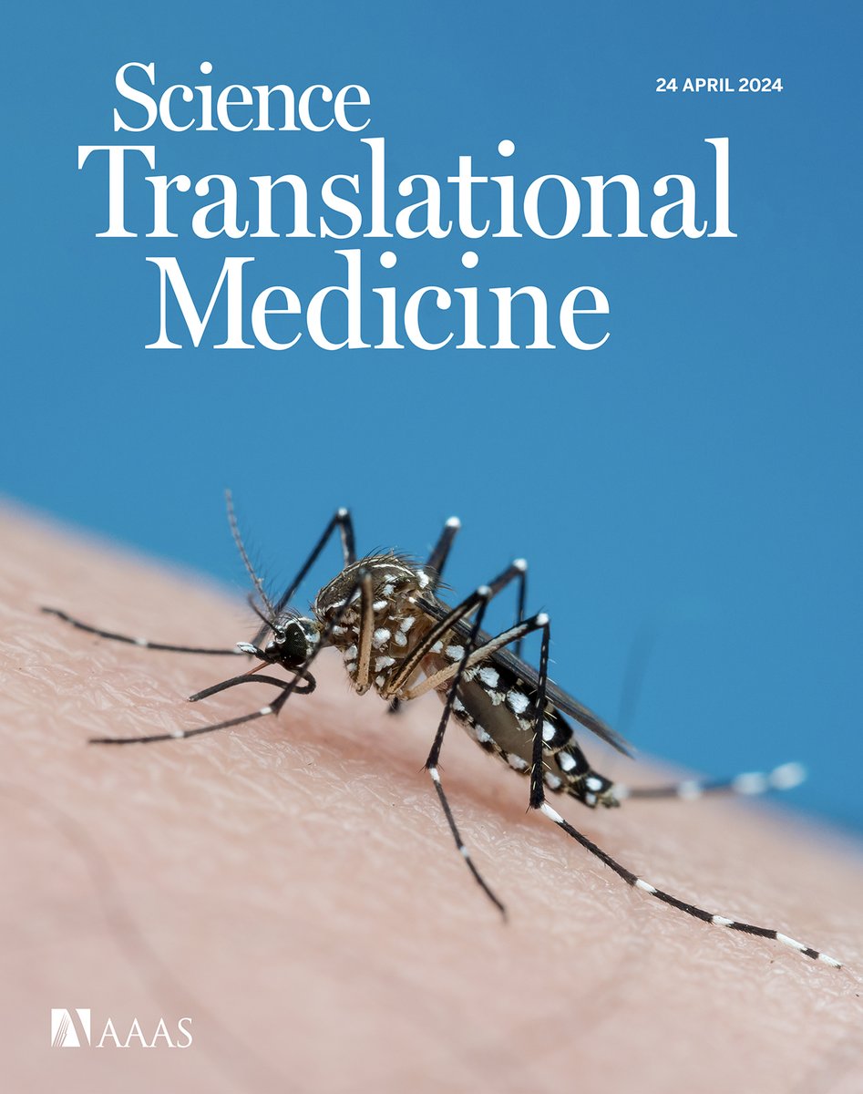 Two decades of dengue surveillance reveal how different serotypes shape the risk of severe disease, colorful brain microdisplays could minimize the risk of tissue damage during neurosurgery, and more in the new issue of #ScienceTranslationalMedicine. scim.ag/6IE