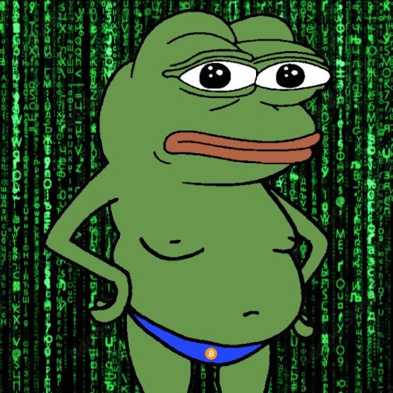 BITCOIN•PEPE•MATRIX tweet media
