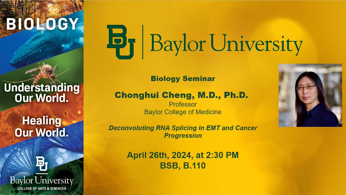 Join us April 26th to hear speaker Dr. Chonghui Cheng talk about 'Deconvoluting RNA Splicing in EMT and Cancer Progression'. The seminar will be held in BSB B.110 starting at 2:30 PM - see you there! AP