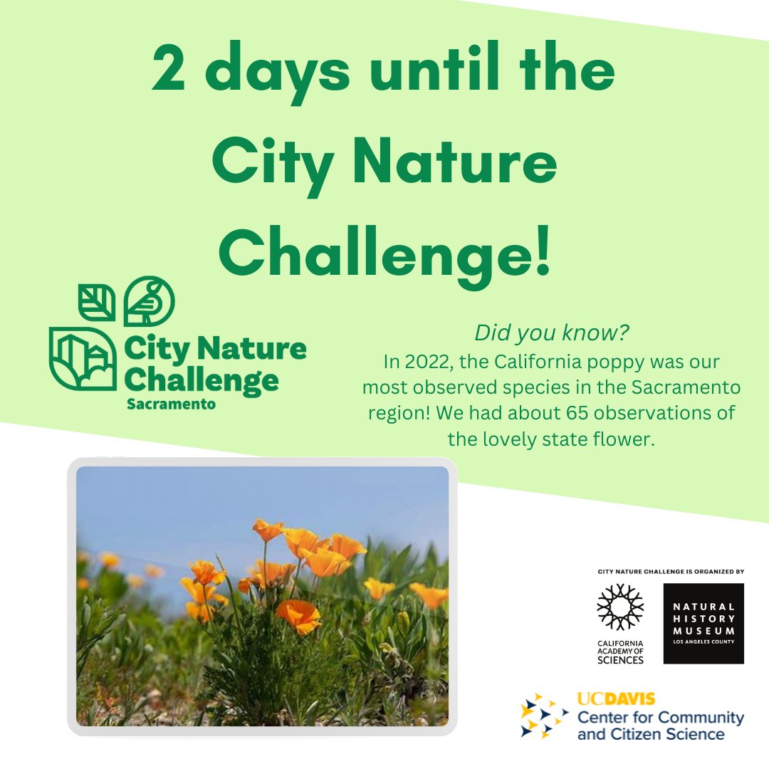 Get ready, Sacramento! Gather your fellow nature nerds, download @inaturalist, & pack some snacks. You'll need them if you go to any of the events in the region! Find details on our website 👉cncsacramento.square.site