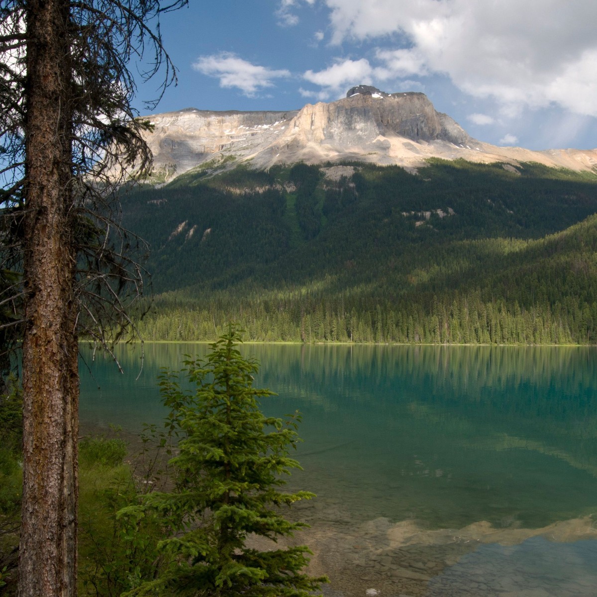 Did you know that the Canadian Rockies are a @unescowhc? Visit the Burgess Shale fossil site and discover the wonders of nature on this magnificent site adorned with mountain peaks, glaciers, and lakes along the @TCTrail! Explore the area on our map here: brnw.ch/21wJ91o