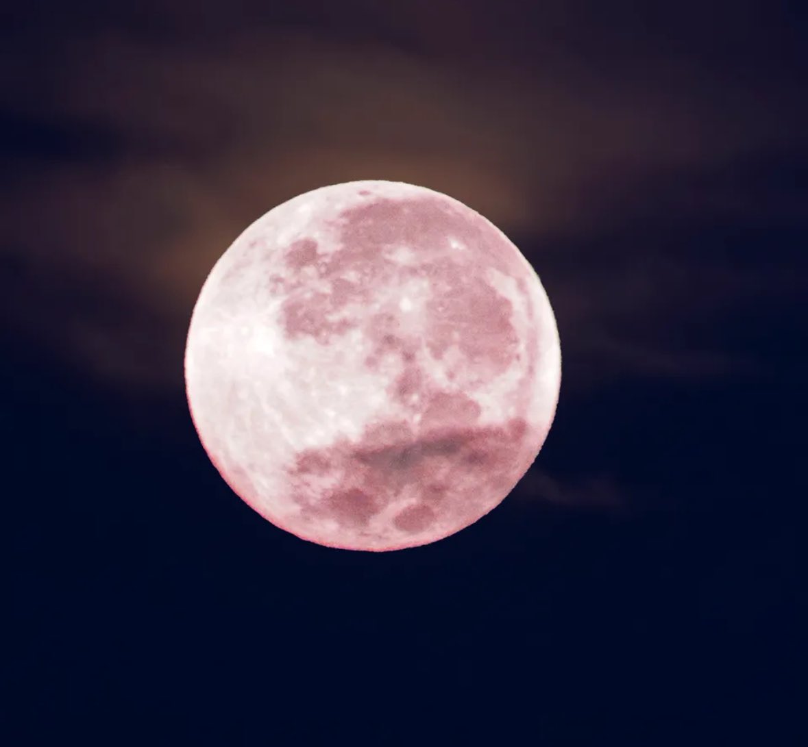 I hide blushing whispers of love for you to find under the pink moon #MonokuMondays That 👊